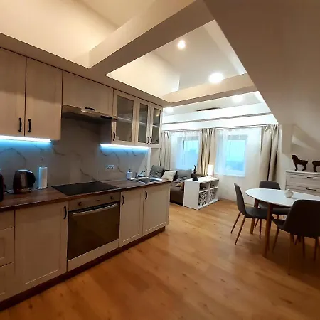 Apartment V Centru - *